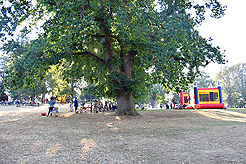 LAURELHURST BACKYARD BBQ 2018